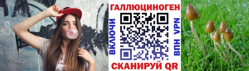 Галлюциногенные грибы Cubensis  нарко площадка какой сайт  Мурманск  хочу наркоту 